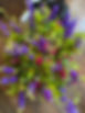 D05B7E1E-72E1-440F-8AAC-1F2067274CC2_1_105_c.jpeg