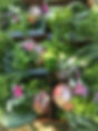 BE92C673-AFAD-4B93-9B62-1F0167F5A34F_1_105_c.jpeg