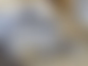 L'hypothèse "jizz" dans l'art rupestre