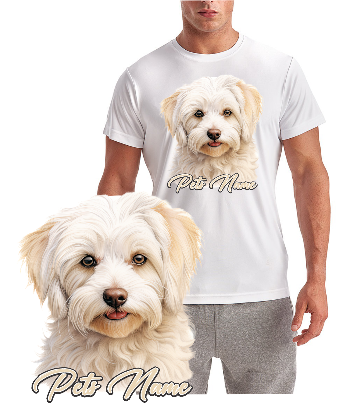 CotonsdeTulear Dog Breed Short Sleeve T-Shirt