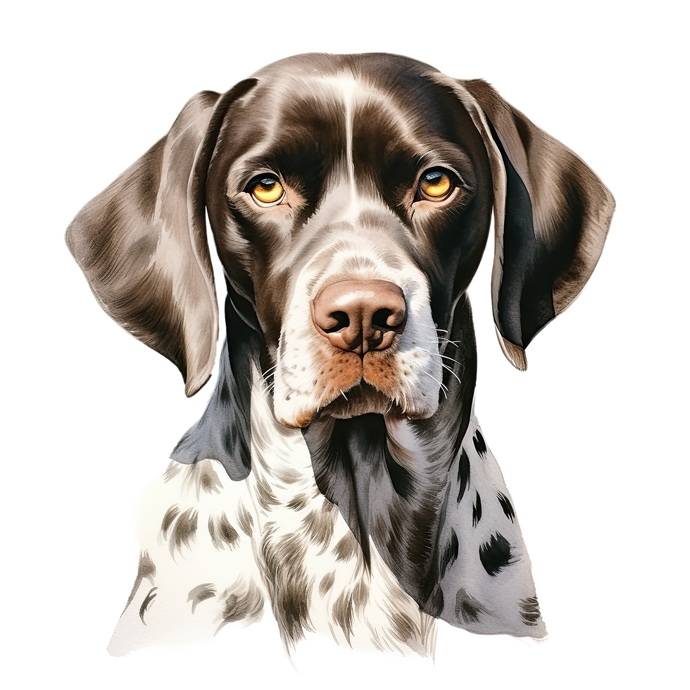 Thumbnail: Personalized German Shorthaired Pointer Dog Breed T-Shirt with custom pet name