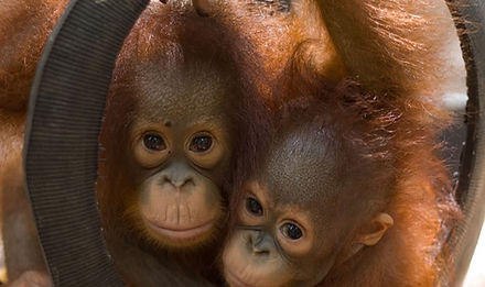 画像 11_edited.jpg