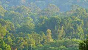 私たちの力、私たちの惑星