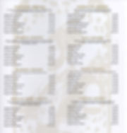 Scan 1.jpeg