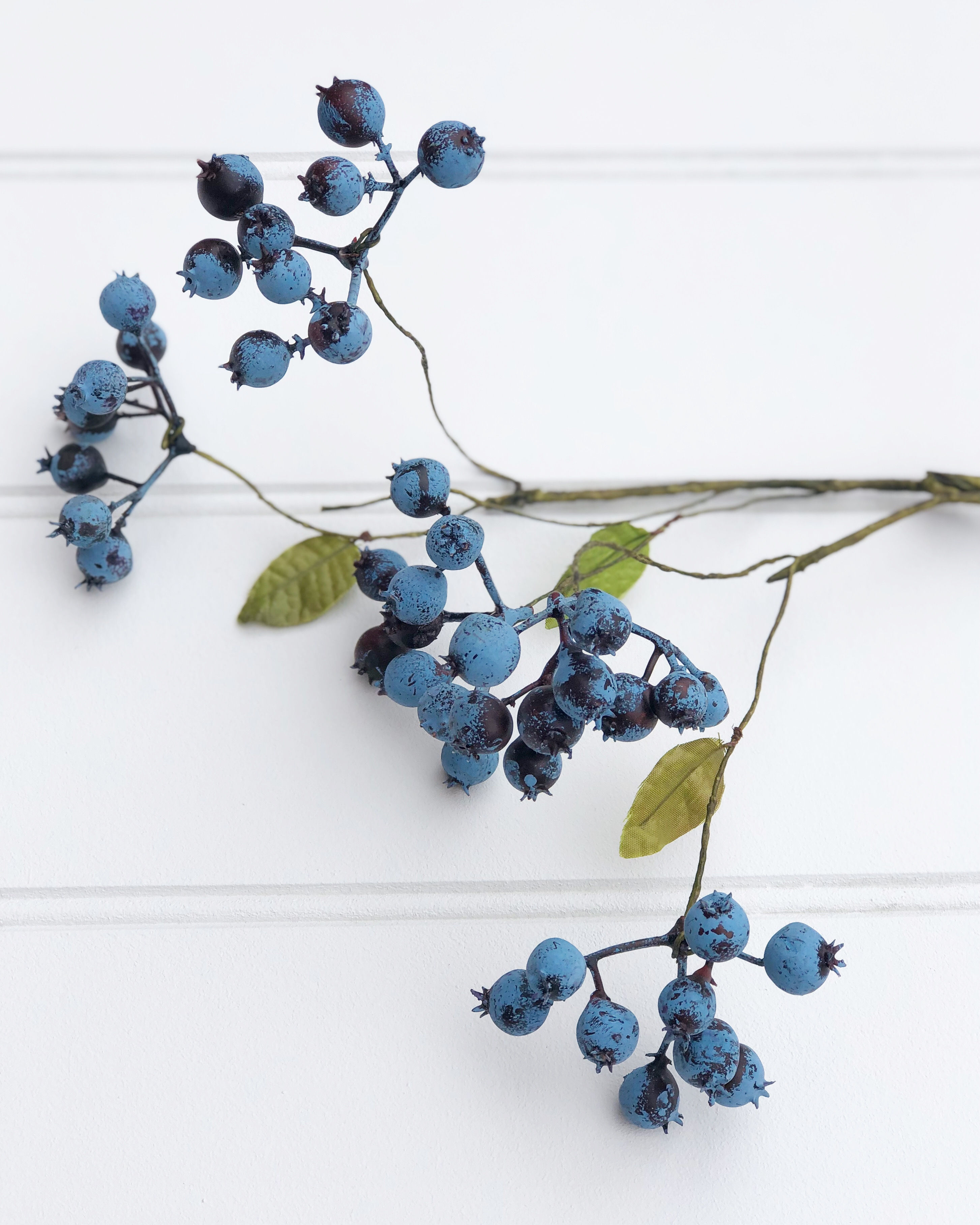 Blueberry Stem