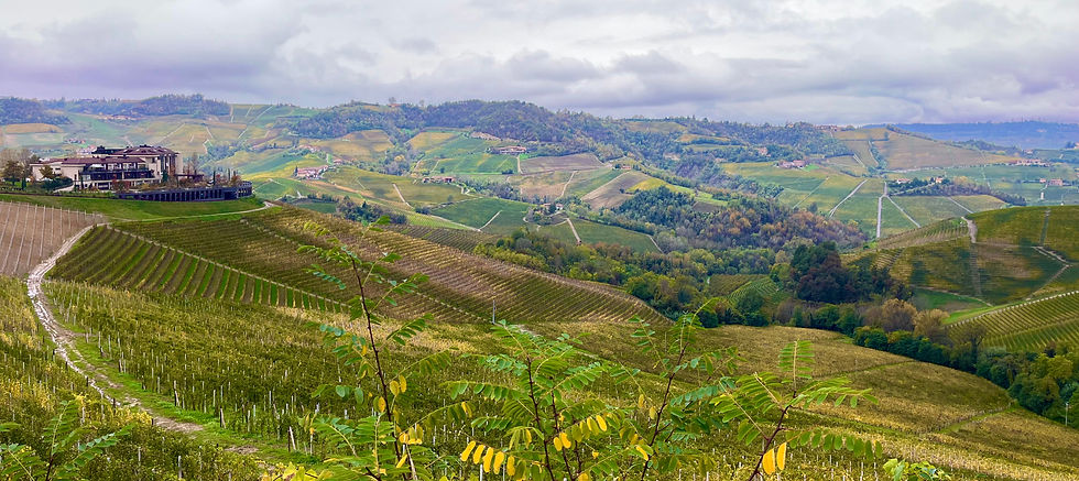 View from the SP125 road overlooking the Langhe