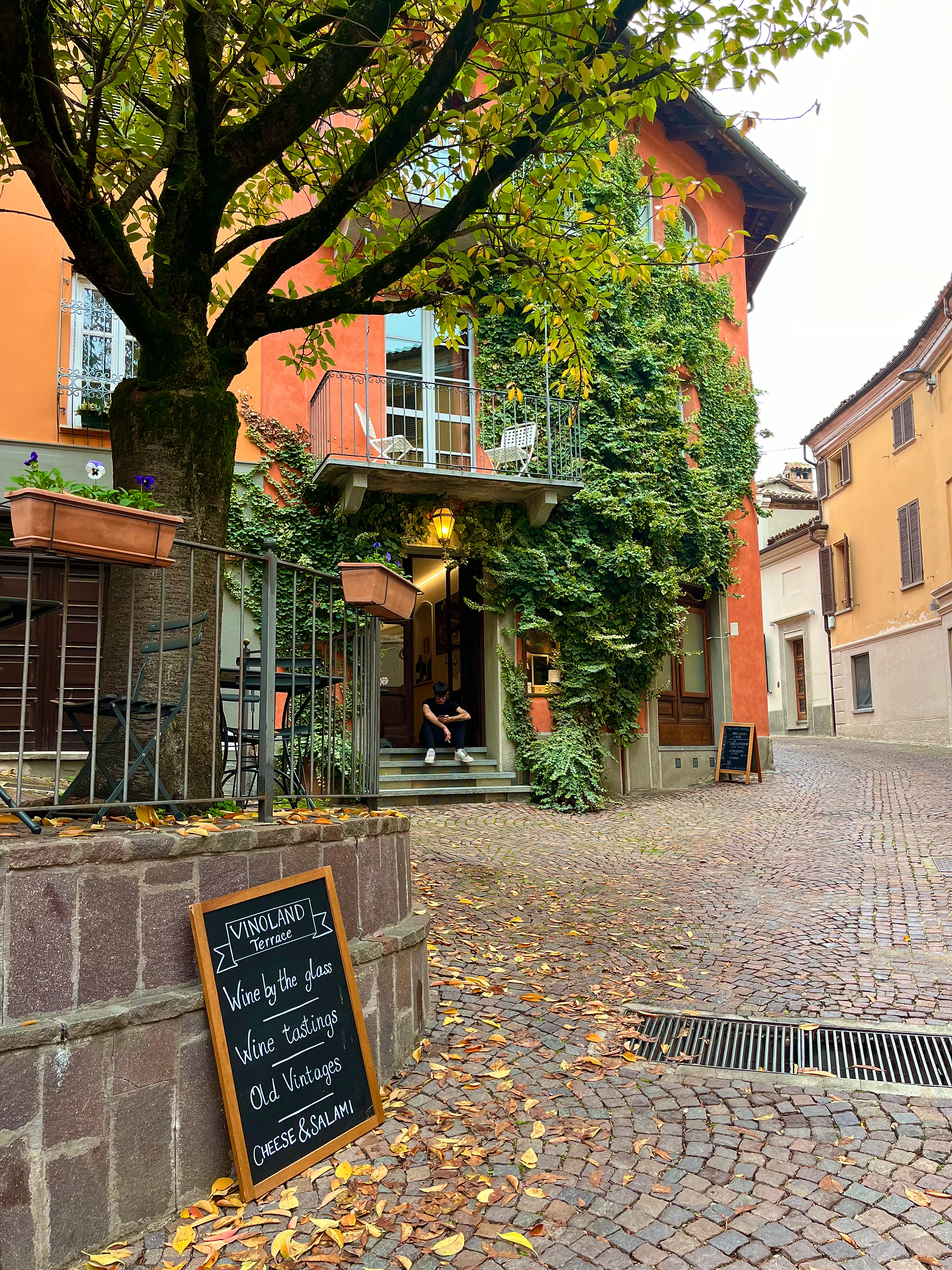 Wine bar in Neive