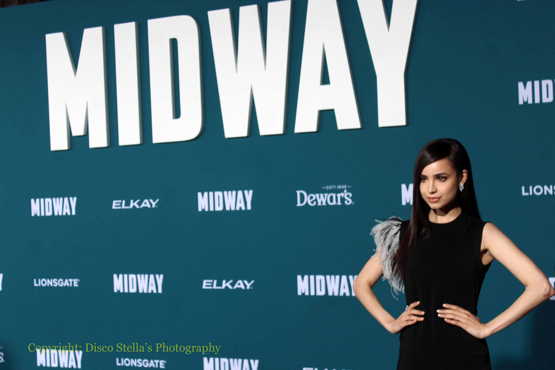 Sofia Carson- Actress.....