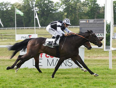 Romanised & Wooded Enregistrent Chacun un Nouveau Gagnant