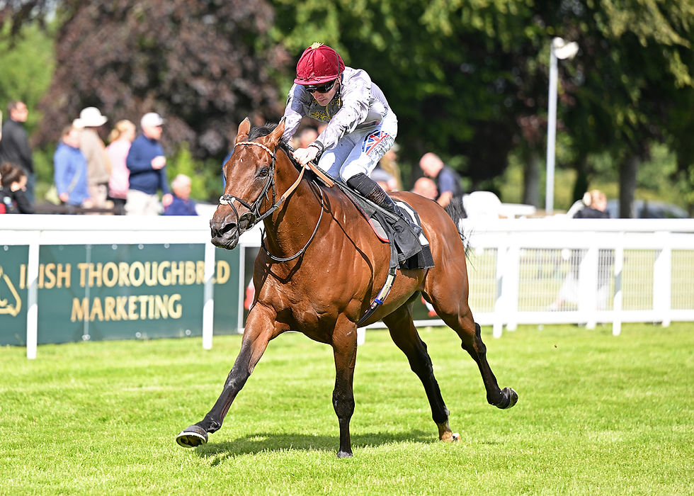 Besieged makes a statement at Salisbury