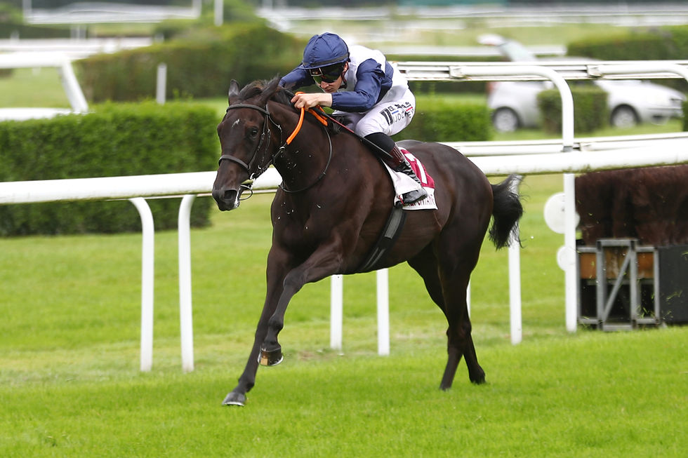 HOLLIE WOOD is a new juvenile winner for WOODED at Clairefontaine (credit APRH)