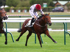 2yo homebred Afjan captures Group 3 Prix d’Arenberg