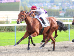 Vente d’Automne Arqana