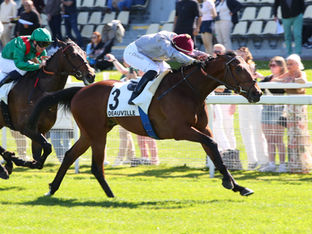 Our homebred Afandy strikes in the Prix Djebel Gr.3