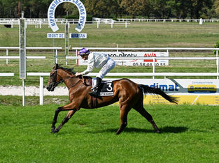 New 2-year-old debut winner for Zelzal