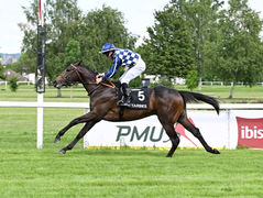 Noble D'Argent, troisième gagnant de 2 ans pour Romanised