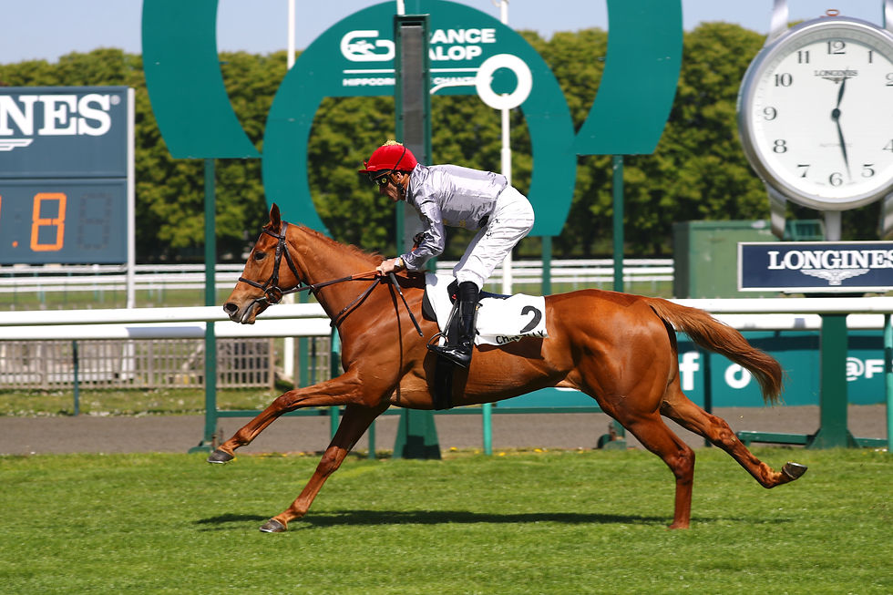 Demah is another homebred debut winner at Chantilly (credit APRH)