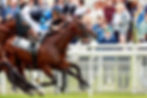Wooded's Woodshauna lands the Prix Jean Prat Gr.1 (credit Zuzanna Lupa Photography)