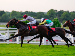 Law Court and Al Ghariya open their score under Al Shaqab Racing colours