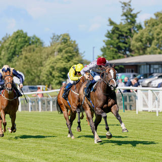 Regally-bred Pearl opens her account at Carlisle