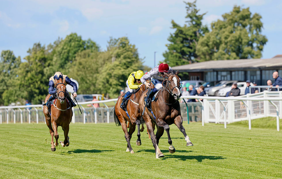 Regally-bred Pearl opens her account at Carlisle