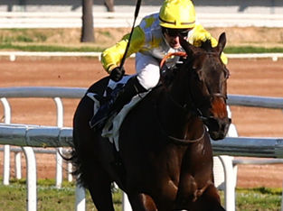 Wooded Sires Two New Winners on the Same Day