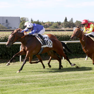 8th two-year-old winner for Armor