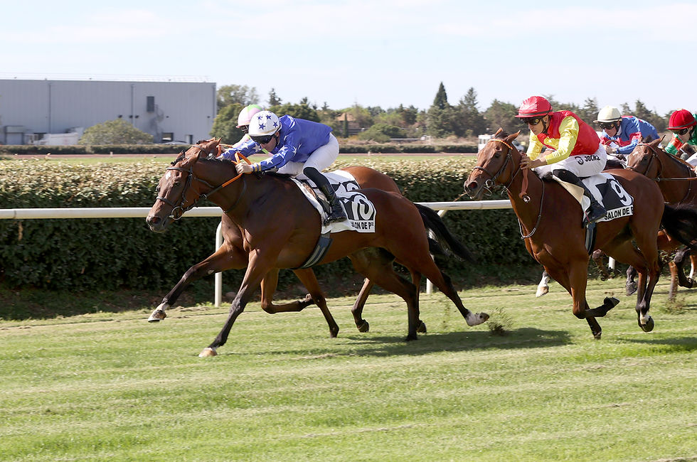 Shibuya is Armor's 8th individual 2-year-old winner of the season (credit Agence Couleurs Casaque)