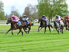 Une 2 ans par Romanised s’impose dès ses débuts