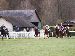 Zelzal fires perfect treble with three runners, three winners