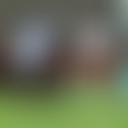 Zelzal’s three-year-olds on the mark with new successes and more Blacktype