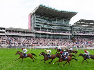 First mares in foal to Lusail
