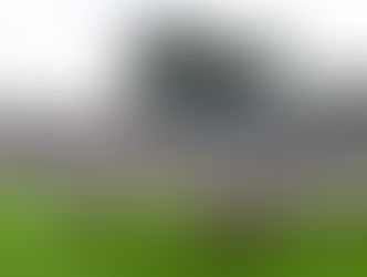 Premières juments pleines pour Lusail