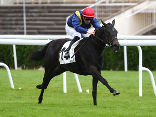 Armor strikes early with first juvenile winner