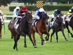 3yos lead the way in another strong week for Zelzal