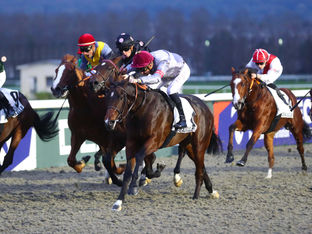 Al Shaqab Double & a New Winner for Wooded at Deauville