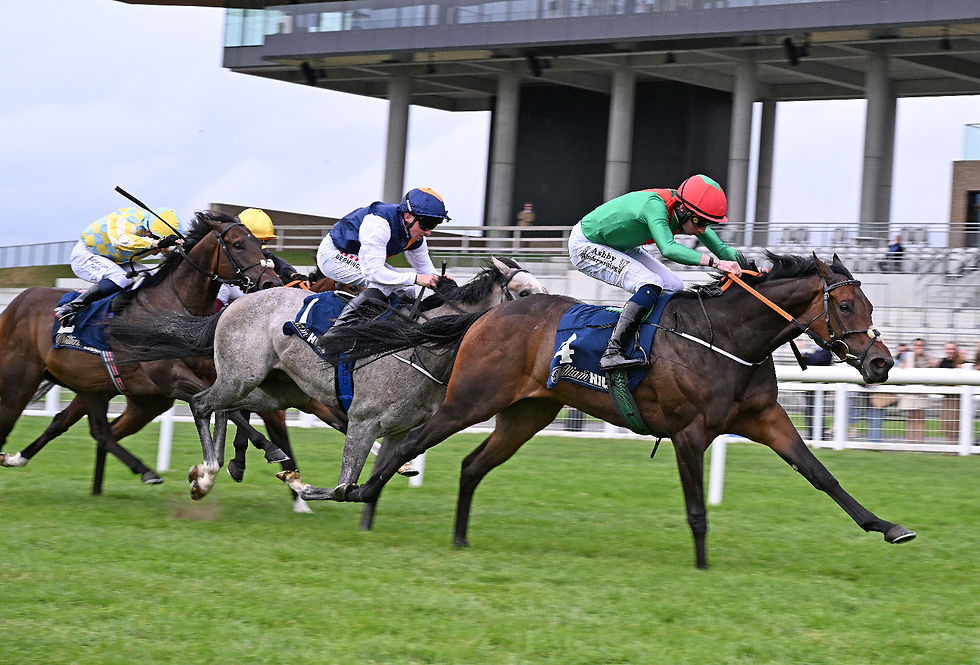 Armor Supreme is a new Blacktype winner for Armor (credit Healy Racing)