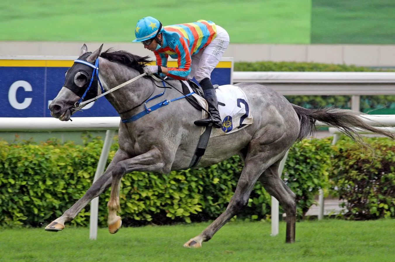 Senor Toba GW Toronado.webp