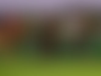 Austral (Zelzal) fait briller nos couleurs lors de la Saudi Cup Night