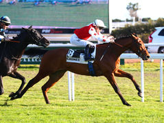 Zelzal démarre 2025 avec un doublé de victoires