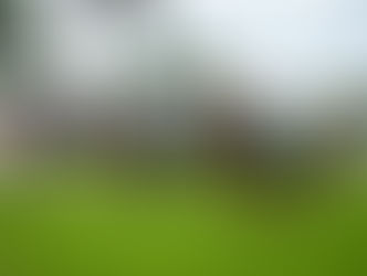 Quarté de Groupe 1 pour l'écurie Al Shaqab