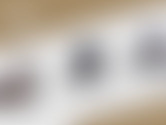 Al Shaqab Stallions Introduce Breeders' Incentive for Qatari Mares