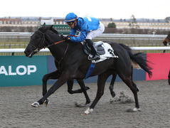 Samwest, 18e gagnant pour Romanised