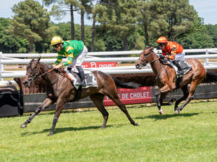 New Stakes winner as Zelzal's juveniles flourish