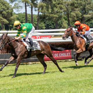 New Stakes winner as Zelzal's juveniles flourish