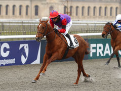 Un inédit par Romanised s'impose pour ses débuts cantiliens