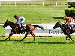 Al Dhaby ouvre son palmarès dès sa deuxième sortie