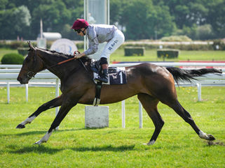 Homebred Colbert off the mark at Bordeaux