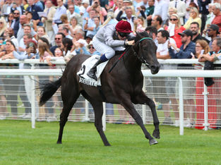 Simmering secures Gr.2 success in the Prix du Calvados