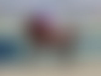 Mikey, par Romanised, décroche sa deuxième victoire consécutive